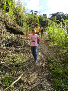 Alli hiking down through the sugar cane