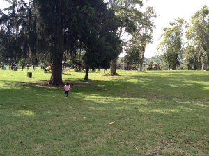 Lanie running to the swings at the Parque Bosque Popular