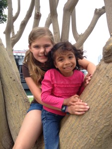 In California climbing one of the fabulous climbing trees.